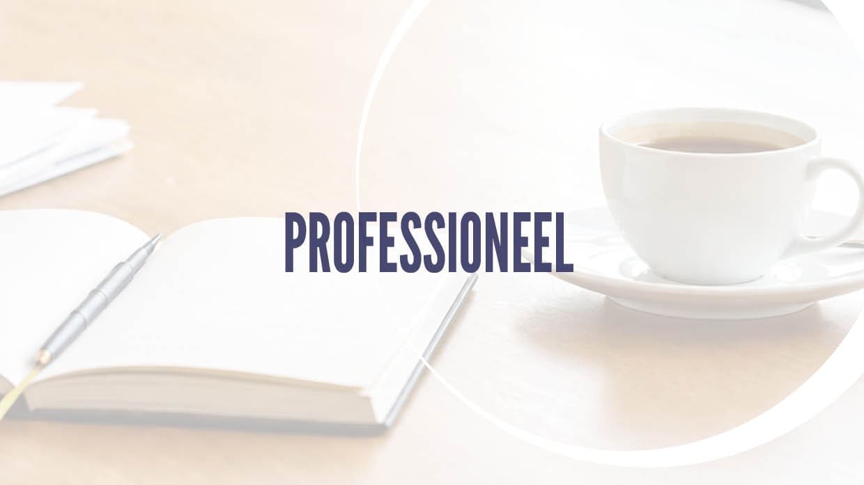 Featured image for “Professioneel (containerbegrip)”